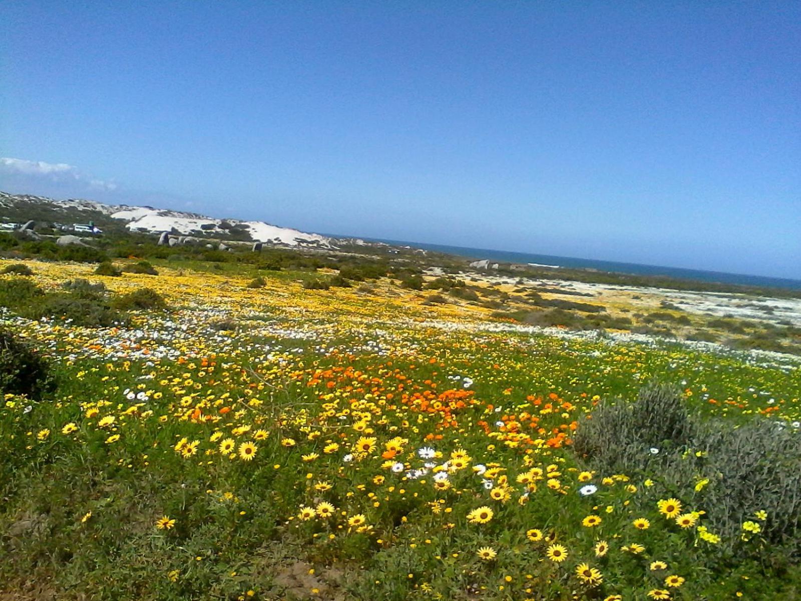 Paters Haven Self-Catering And B&B Paternoster Exterior foto