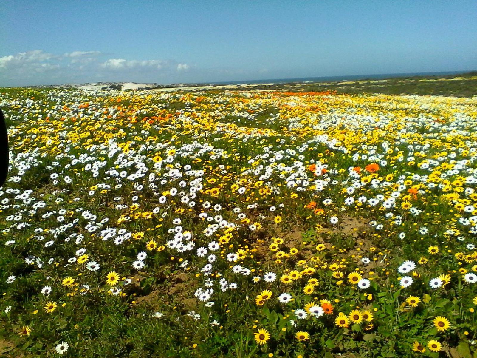 Paters Haven Self-Catering And B&B Paternoster Exterior foto